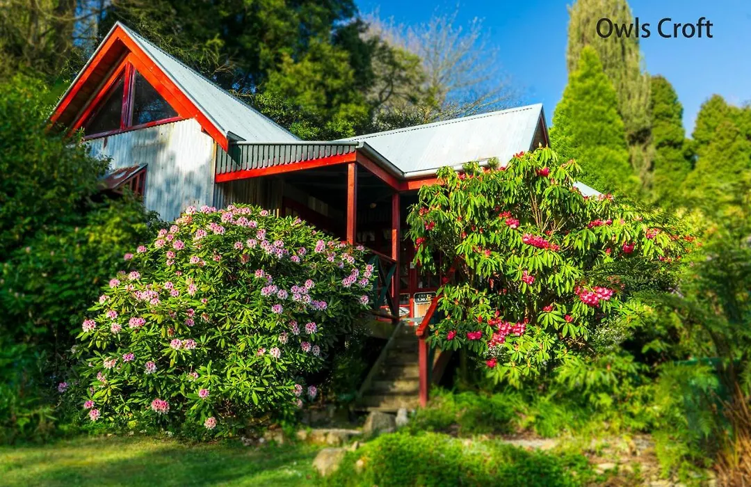 Observatory Cottages-1